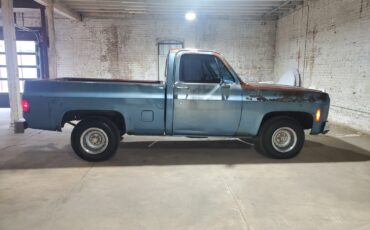 Chevrolet-C-10-1980-Standard-Cab-Pickup-4