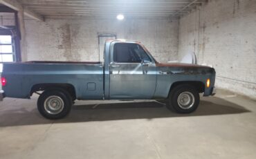 Chevrolet-C-10-1980-Standard-Cab-Pickup-5
