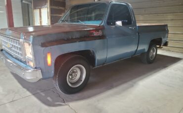 Chevrolet-C-10-1980-Standard-Cab-Pickup-9