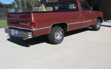 Chevrolet-C-10-1983-Standard-Cab-Pickup-1