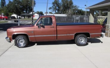 Chevrolet-C-10-1983-Standard-Cab-Pickup-11