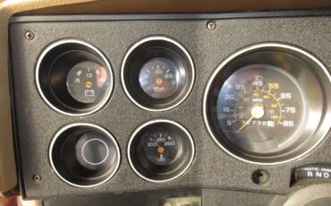 Chevrolet-C-10-1983-Standard-Cab-Pickup-22