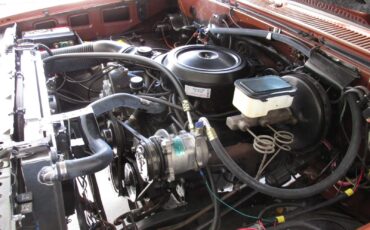 Chevrolet-C-10-1983-Standard-Cab-Pickup-28