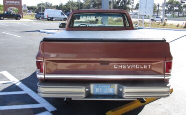 Chevrolet-C-10-1983-Standard-Cab-Pickup-4