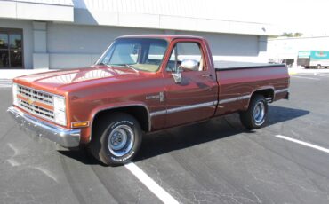 Chevrolet-C-10-1983-Standard-Cab-Pickup-5