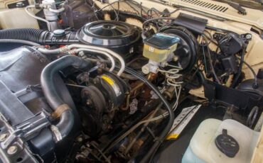 Chevrolet-C-10-1985-Standard-Cab-Pickup-18