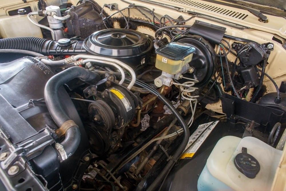 Chevrolet-C-10-1985-Standard-Cab-Pickup-18