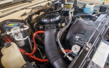 Chevrolet-C-10-1985-Standard-Cab-Pickup-20