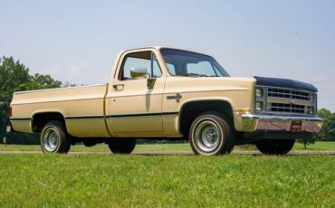 Chevrolet-C-10-1985-Standard-Cab-Pickup-24