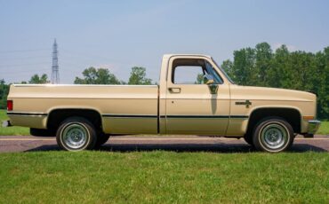 Chevrolet-C-10-1985-Standard-Cab-Pickup-25
