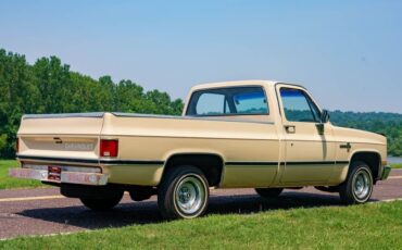 Chevrolet-C-10-1985-Standard-Cab-Pickup-26