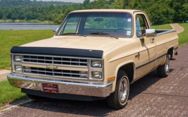 Chevrolet-C-10-1985-Standard-Cab-Pickup-32
