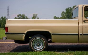 Chevrolet-C-10-1985-Standard-Cab-Pickup-35