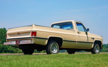 Chevrolet-C-10-1985-Standard-Cab-Pickup-4