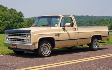 Chevrolet-C-10-1985-Standard-Cab-Pickup