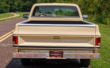 Chevrolet-C-10-1985-Standard-Cab-Pickup-5