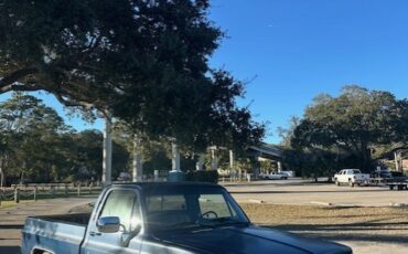 Chevrolet-C-10-1987-Standard-Cab-Pickup-1