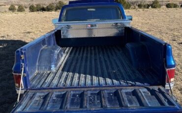 Chevrolet-C-10-1987-Standard-Cab-Pickup-14