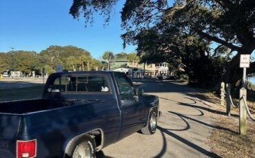 Chevrolet-C-10-1987-Standard-Cab-Pickup-2