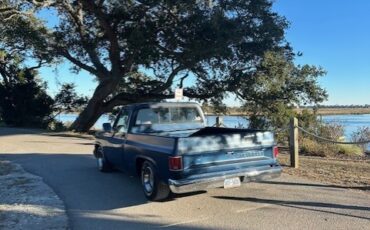 Chevrolet-C-10-1987-Standard-Cab-Pickup-3