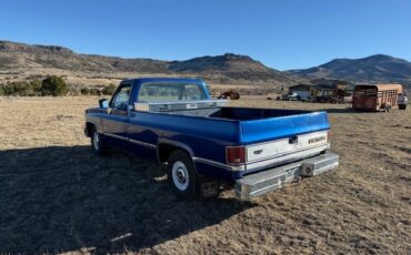 Chevrolet-C-10-1987-Standard-Cab-Pickup-4