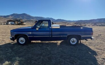 Chevrolet-C-10-1987-Standard-Cab-Pickup-5