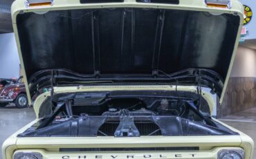 Chevrolet-C10-1965-Other-10