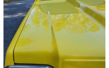 Chevrolet-C10-1973-YELLOW-YELLOW-AND-BLACK-22