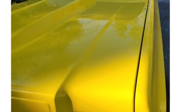 Chevrolet-C10-1973-YELLOW-YELLOW-AND-BLACK-23