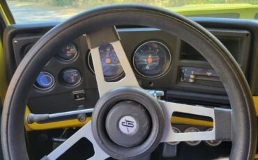 Chevrolet-C10-1973-YELLOW-YELLOW-AND-BLACK-25