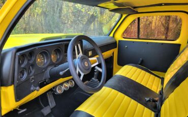 Chevrolet-C10-1973-YELLOW-YELLOW-AND-BLACK-3
