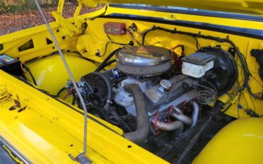 Chevrolet-C10-1973-YELLOW-YELLOW-AND-BLACK-31