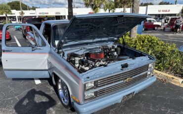 Chevrolet-C10-1984-BlueGray-Black-5