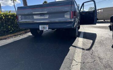 Chevrolet-C10-1984-BlueGray-Black-6