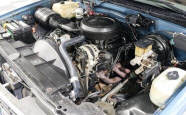 Chevrolet-C1500-1990-BLUE-Gray-8