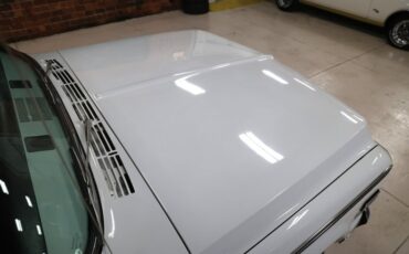 Chevrolet-C20-1970-White-Black-ampamp-White-Ho-17