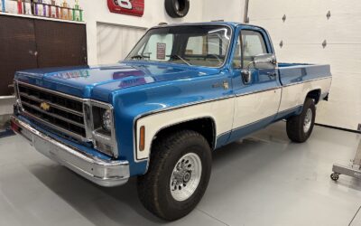 Chevrolet C20/K20 1979