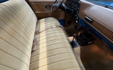 Chevrolet-C20K20-1979-7
