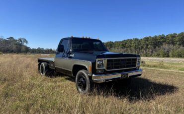 Chevrolet-C30-1978-Standard-Cab-Pickup-13