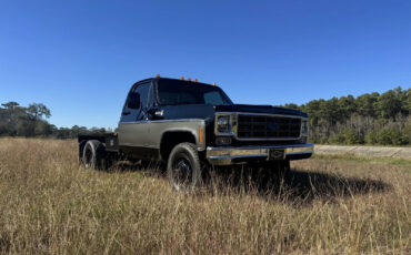 Chevrolet-C30-1978-Standard-Cab-Pickup-14
