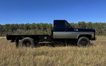 Chevrolet-C30-1978-Standard-Cab-Pickup-15