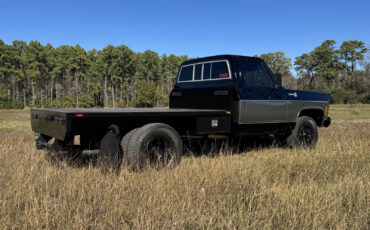 Chevrolet-C30-1978-Standard-Cab-Pickup-16