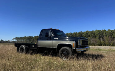 Chevrolet-C30-1978-Standard-Cab-Pickup-17