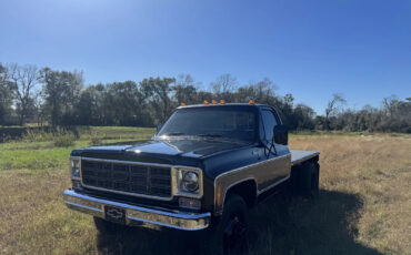 Chevrolet-C30-1978-Standard-Cab-Pickup-2