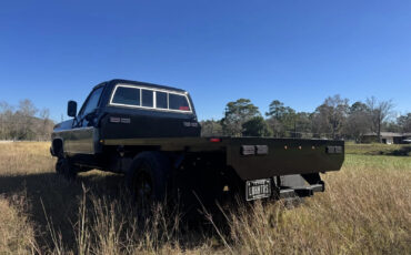 Chevrolet-C30-1978-Standard-Cab-Pickup-22