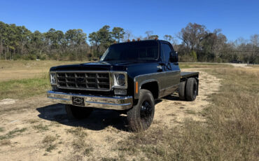 Chevrolet-C30-1978-Standard-Cab-Pickup-3