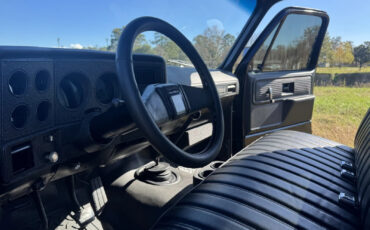 Chevrolet-C30-1978-Standard-Cab-Pickup-30