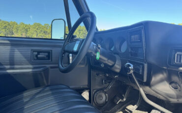 Chevrolet-C30-1978-Standard-Cab-Pickup-32