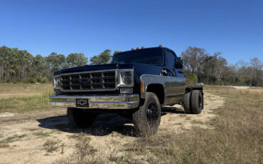 Chevrolet-C30-1978-Standard-Cab-Pickup-4