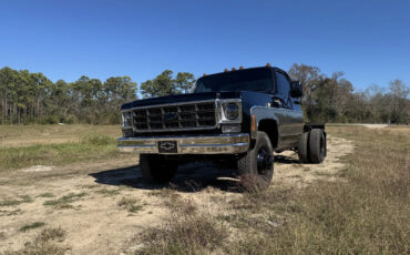 Chevrolet-C30-1978-Standard-Cab-Pickup-5